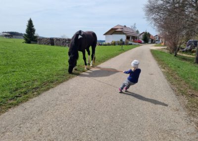 Pferd mit Kind