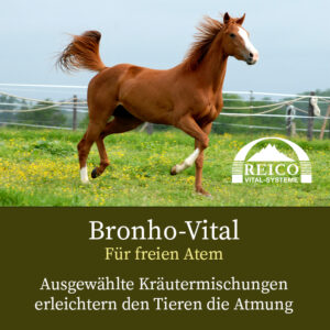 bild bronho vital mit pferd