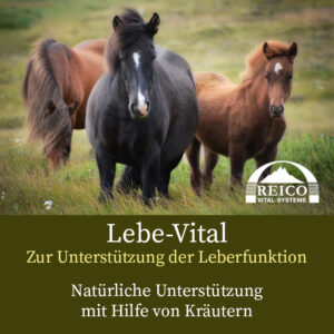 Lebe-Vital bild Pferde