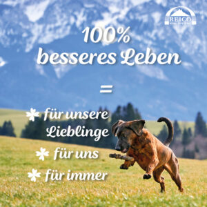 hund in der natur mit schrift besseres leben