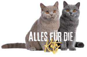 Bild von zwie katzen mit spruch alles für die katz