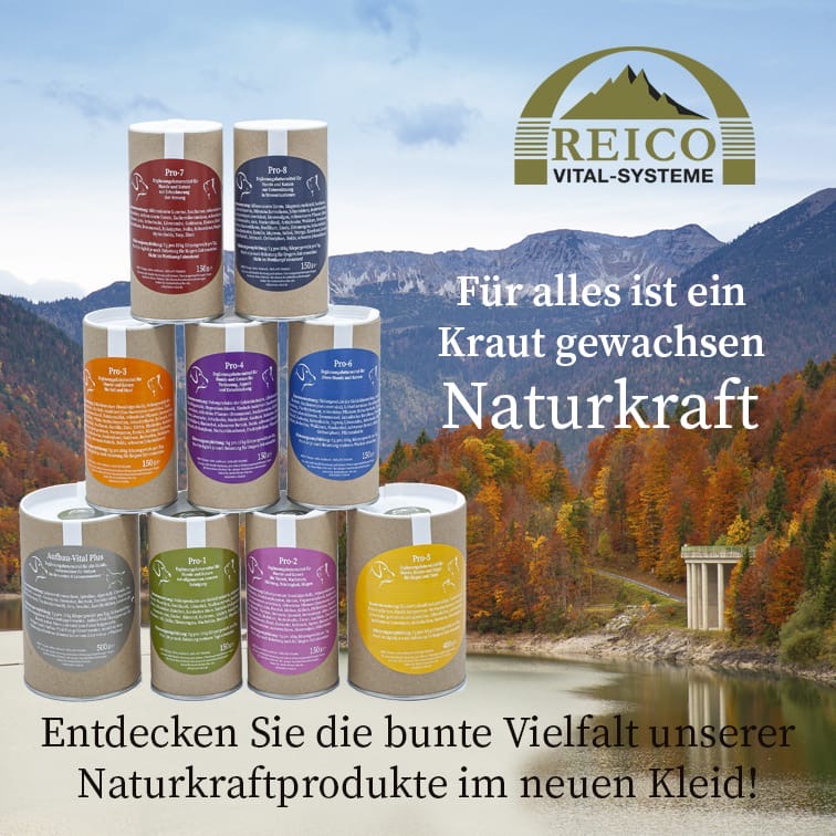 bild reico naturkraft